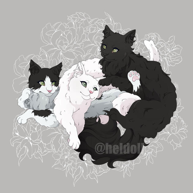 Commission